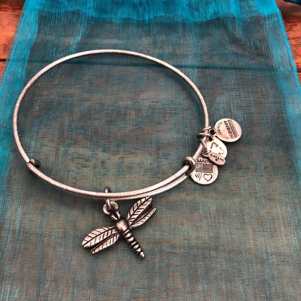 Alex and Ani Dragonfly Bracelet